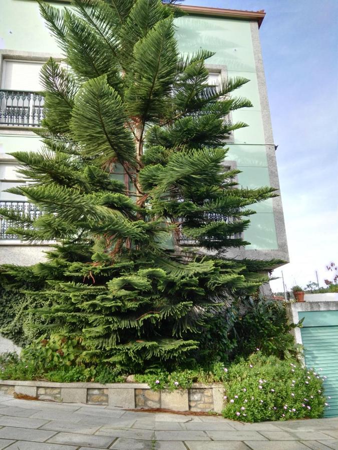 Ferienwohnung Pisos Vistalegre 2B Con Jardin Cerca Del Mar Sanxenxo Exterior foto
